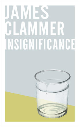 Book cover, Insignificance by James Clammer, North American edition